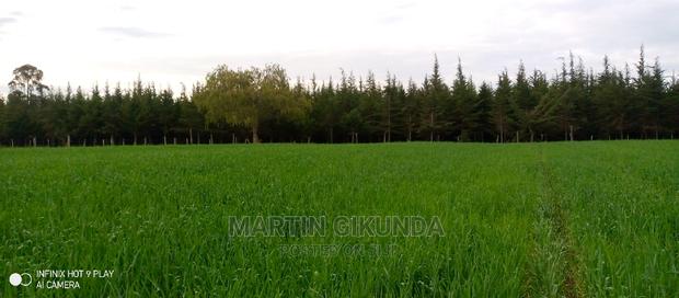 Narumoro Land, 5 Acre Land - main view
