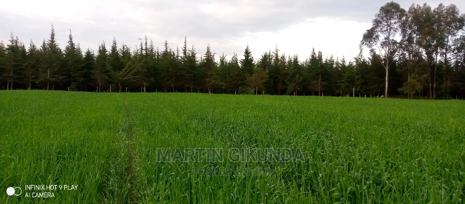 Narumoro Land, 5 Acre Land