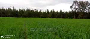 Narumoro Land, 5 Acre Land