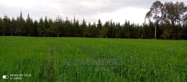 Narumoro Land, 5 Acre Land - thumbnail 2