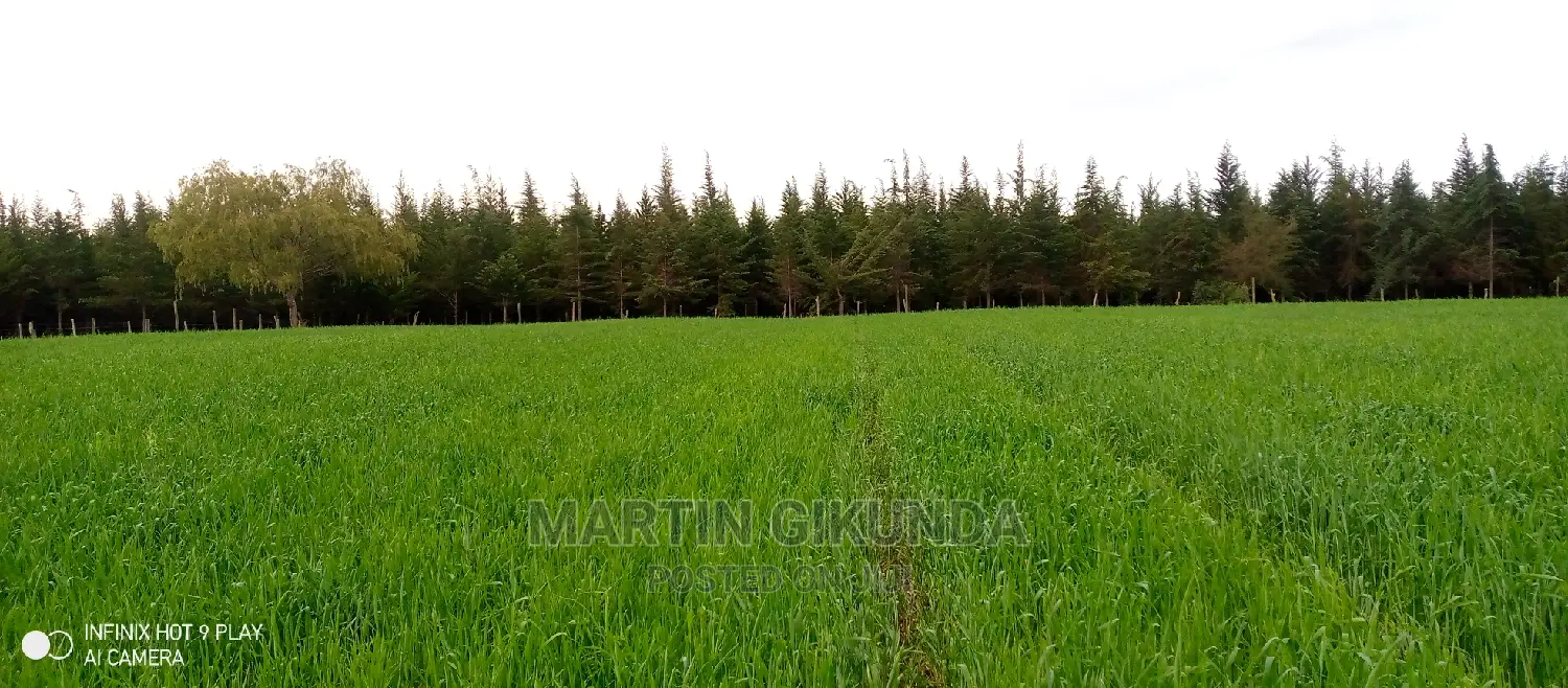 Narumoro Land, 5 Acre Land