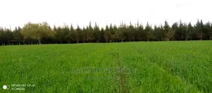 Narumoro Land, 5 Acre Land