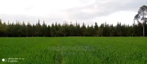 Narumoro Land, 5 Acre Land