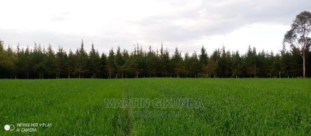 Narumoro Land, 5 Acre Land - thumbnail 4