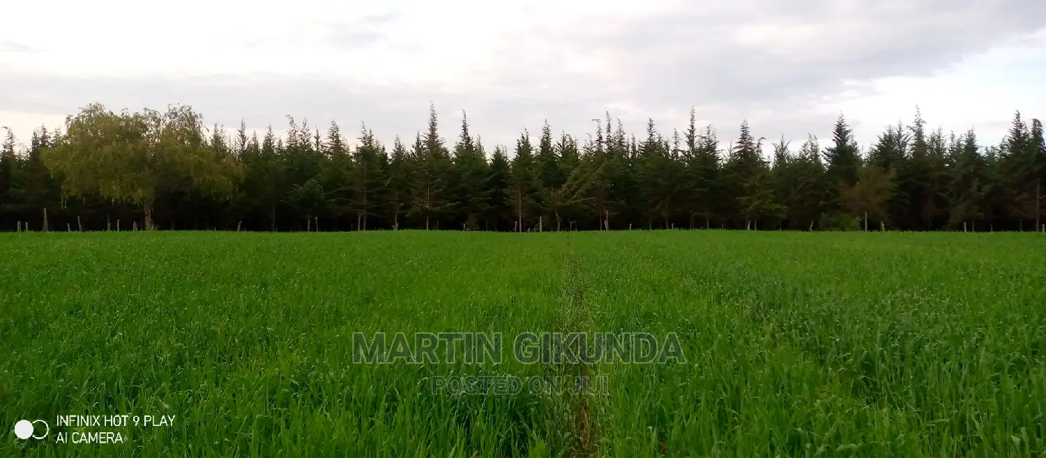 Narumoro Land, 5 Acre Land