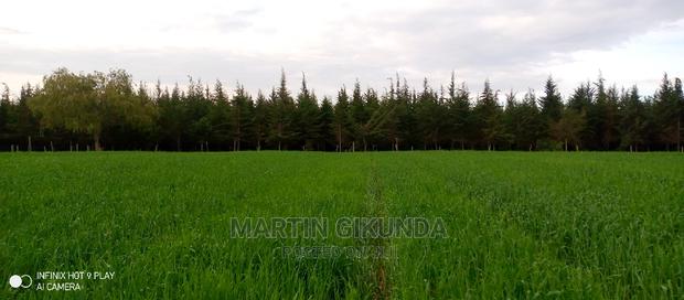Narumoro Land, 5 Acre Land - thumbnail 5