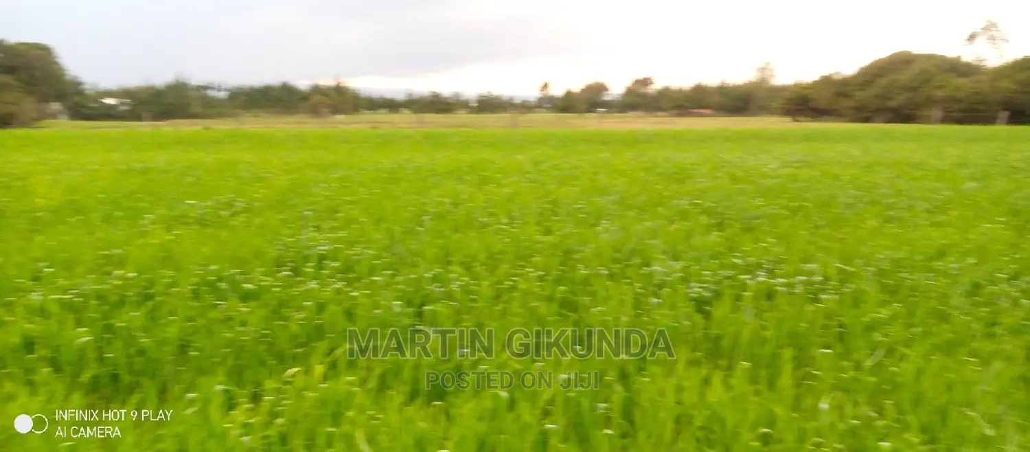 Narumoro Land, 5 Acre Land