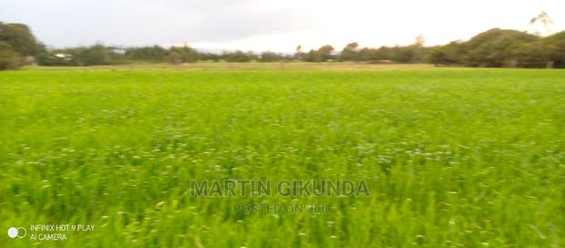 Narumoro Land, 5 Acre Land - thumbnail 6