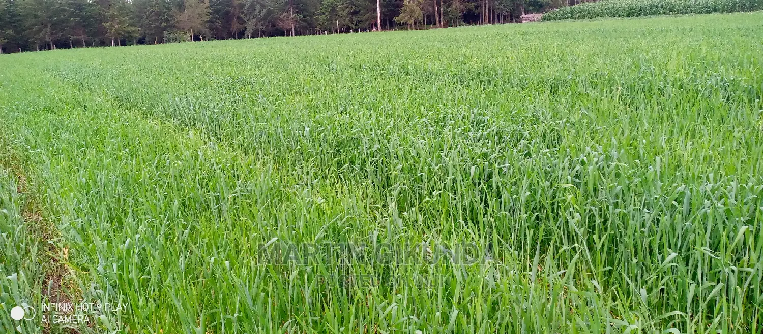 Narumoro Land, 5 Acre Land