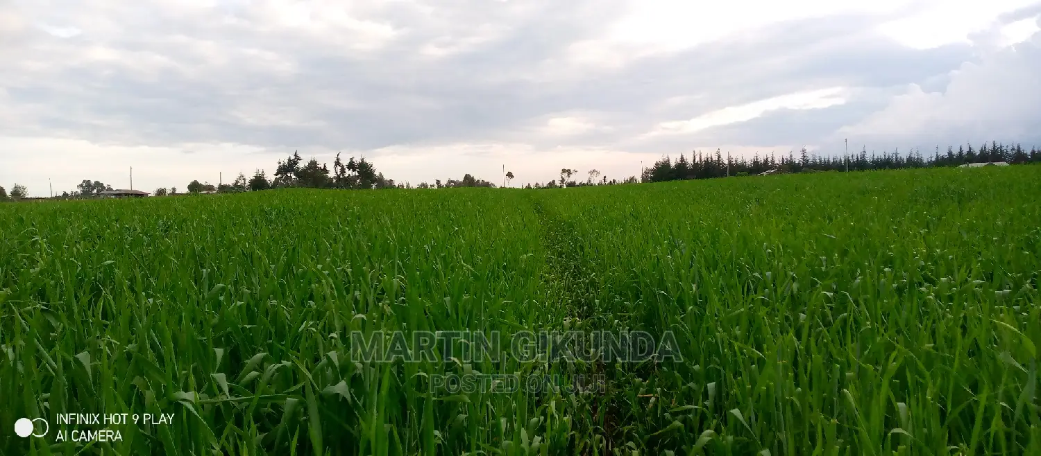 Narumoro Land, 5 Acre Land