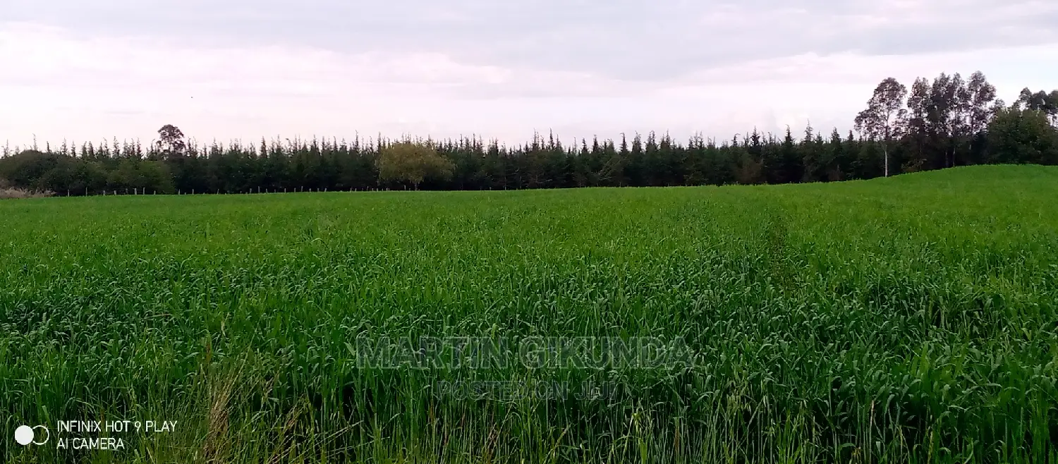 Narumoro Land, 5 Acre Land