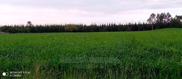 Narumoro Land, 5 Acre Land - thumbnail 9