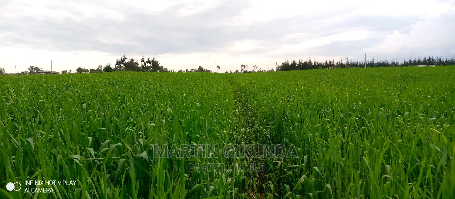 Narumoro Land, 5 Acre Land