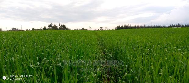 Narumoro Land, 5 Acre Land - thumbnail 10