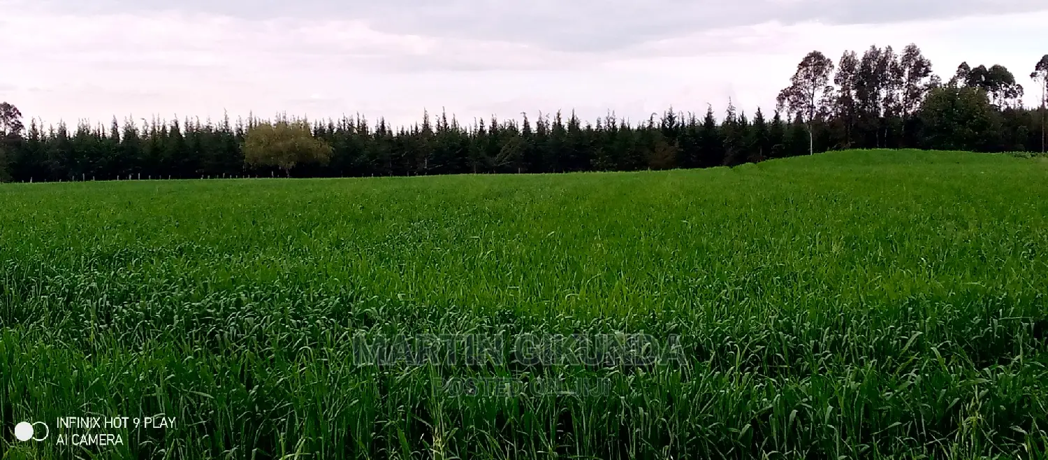 Narumoro Land, 5 Acre Land