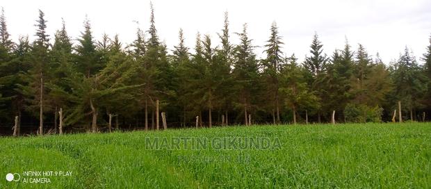 Narumoro Land, 5 Acre Land - thumbnail 12