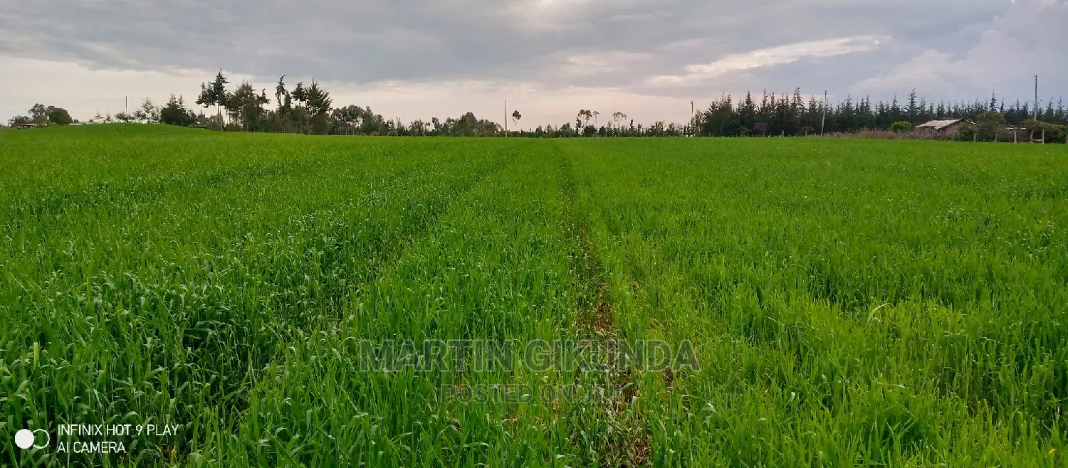 Narumoro Land, 5 Acre Land