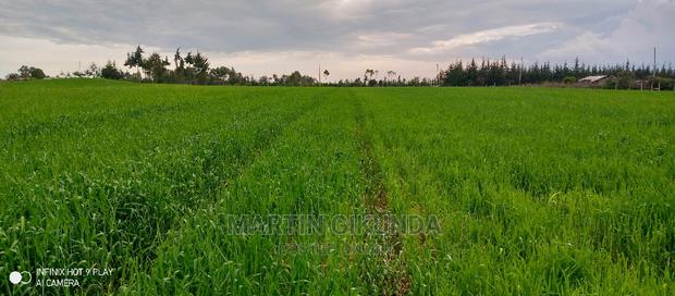 Narumoro Land, 5 Acre Land - thumbnail 13