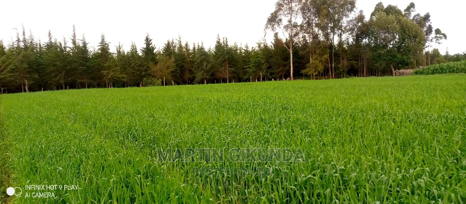 Narumoro Land, 5 Acre Land