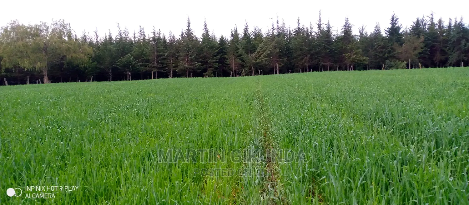 Narumoro Land, 5 Acre Land