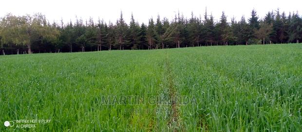 Narumoro Land, 5 Acre Land - thumbnail 15