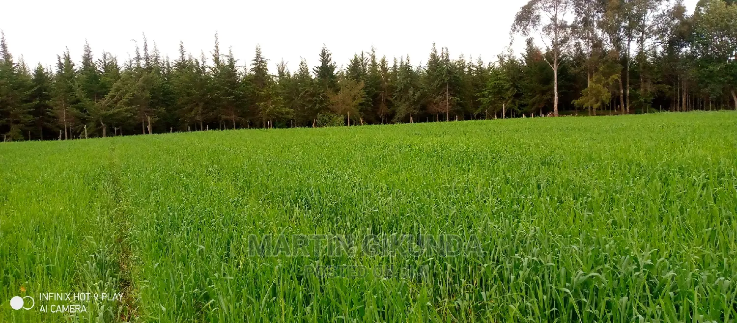 Narumoro Land, 5 Acre Land