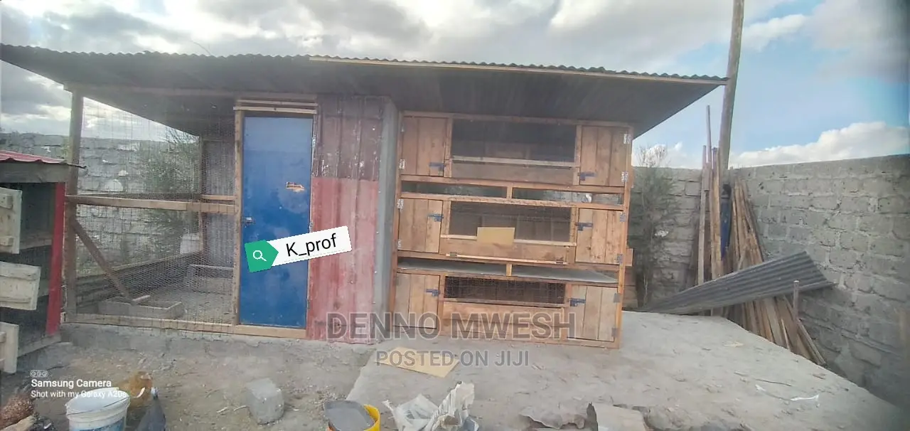 Chicken House / Poultry House