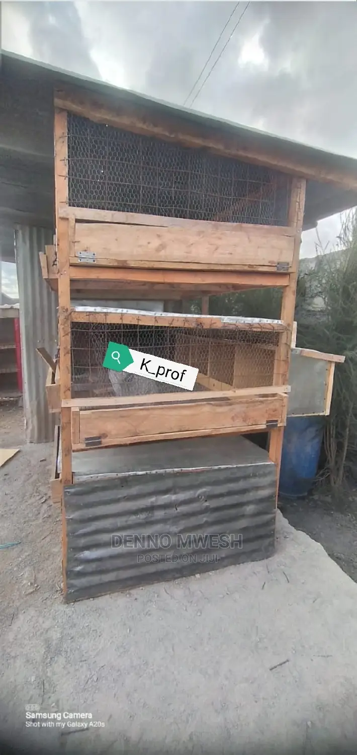 Chicken House / Poultry House