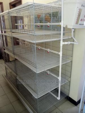 Chicks Battery Cage Can Accommodate 400 Chicks - thumbnail 2