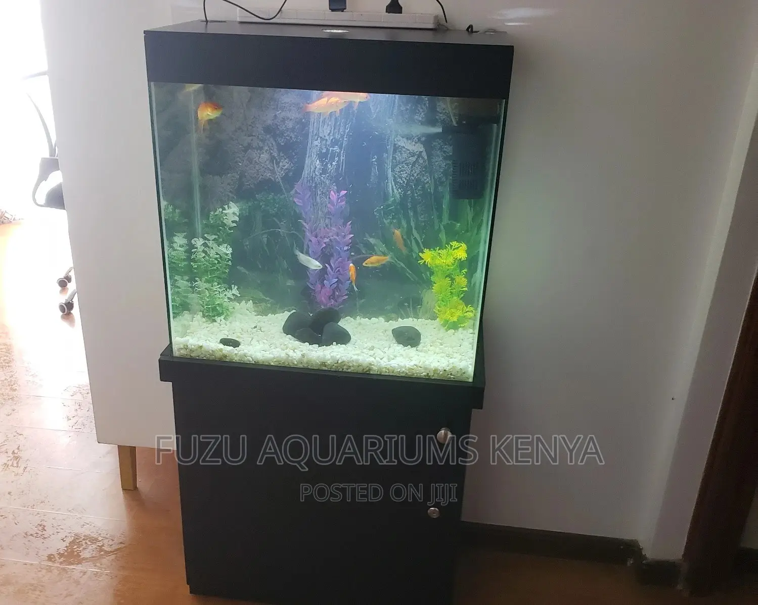 2ft Length Aquarium With Stand