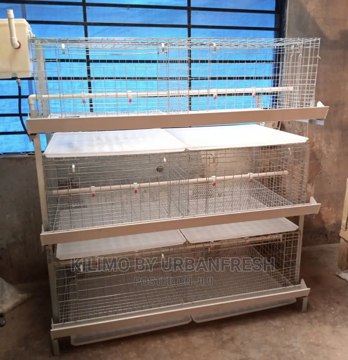 Broiler Chicken Battery Cages Accomodates 60 Broilers