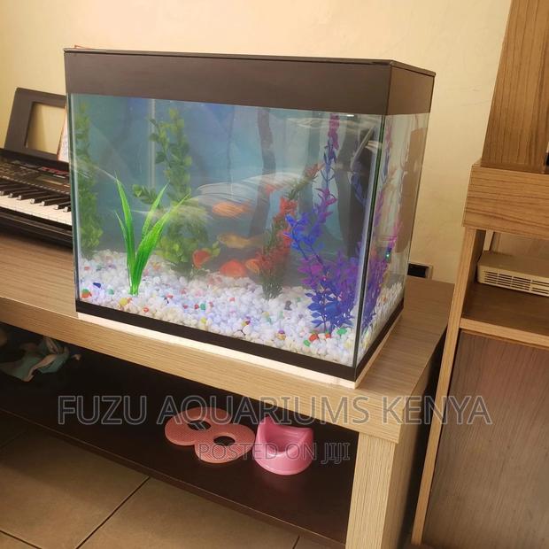 Aquarium With Deco and Fish - main view
