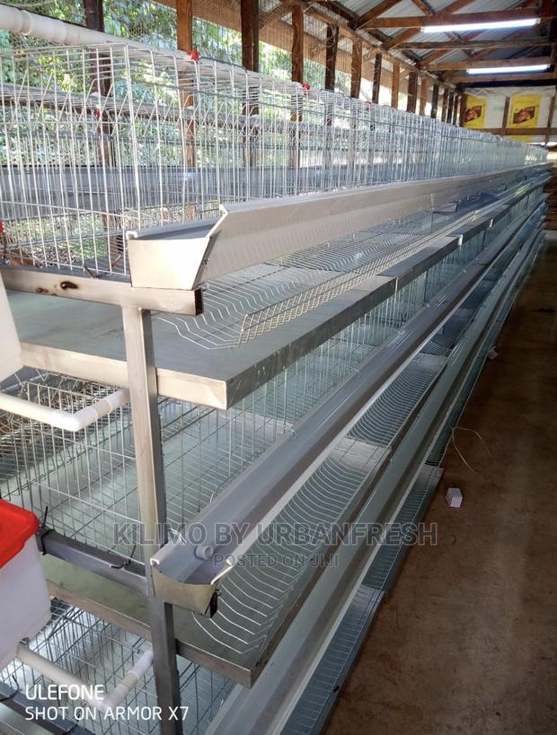 A-96 Layer Battery Cage. - main view
