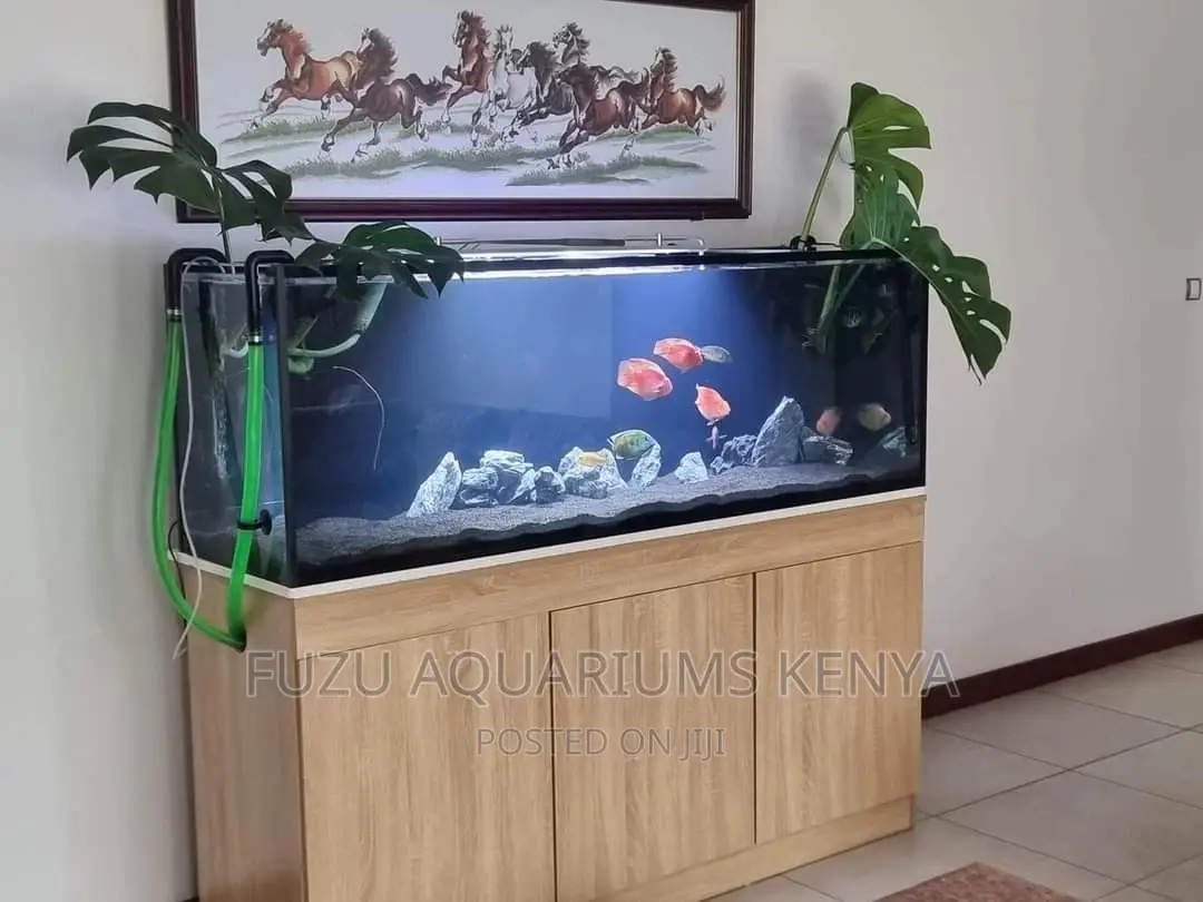 Modern Home/Office Aquarium