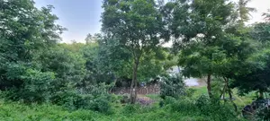 Quick Sale,1 Acre Creek Beach Plot,On Sale at Mtwapa