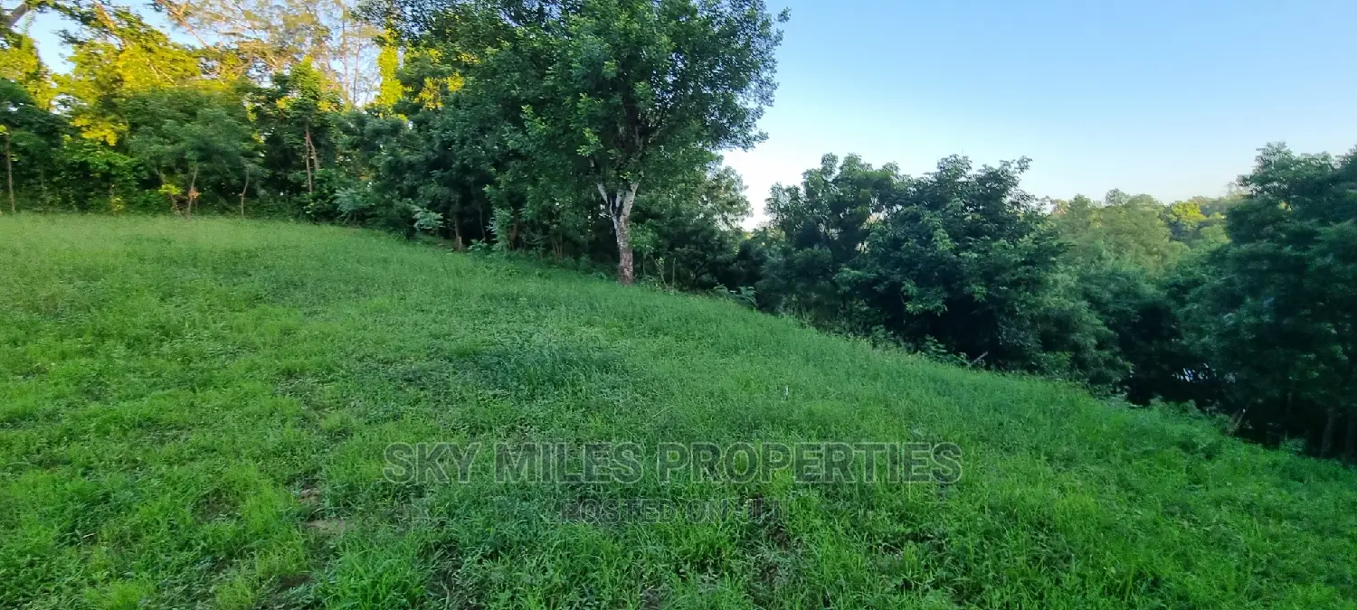 Quick Sale,1 Acre Creek Beach Plot,On Sale at Mtwapa