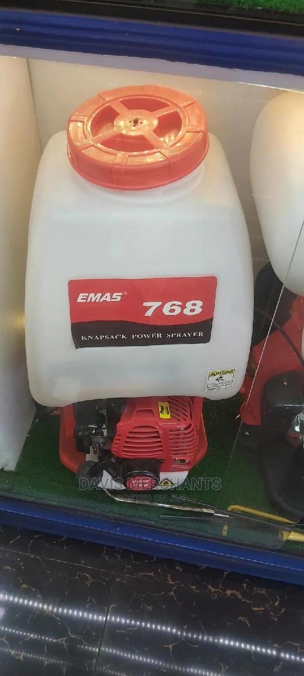Knapsack Sprayer With to Stroke Engine Powered by Petrol - main view