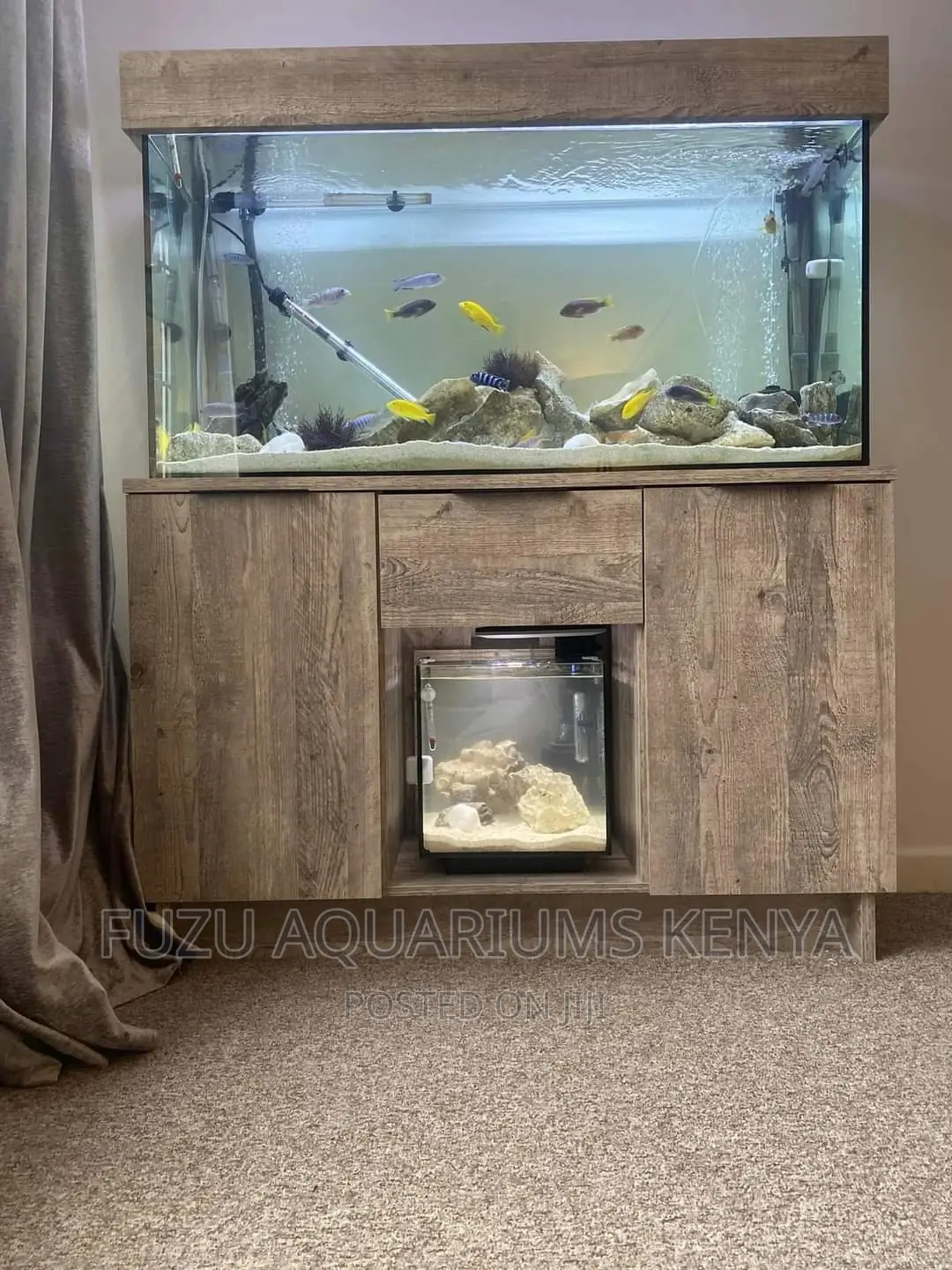 Dazzling Aquarium