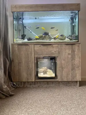 Dazzling Aquarium