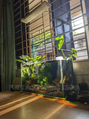 Therapeutic Planted Aquarium With Fish