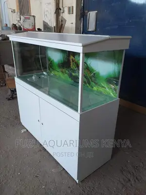 Unique White Aquarium