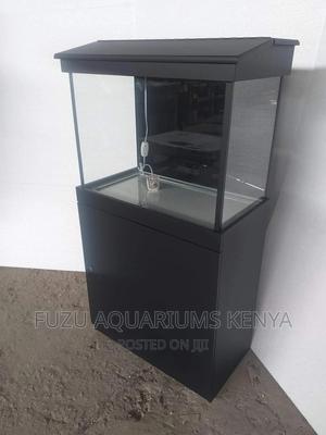 Unique Black Aquarium - thumbnail 2