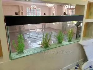 We Customize Aquariums to Any Size