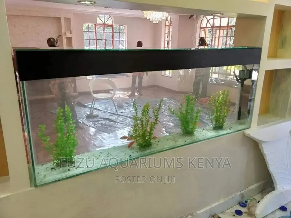 We Customize Aquariums to Any Size