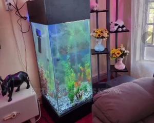 Medium Tower Aquarium - thumbnail 2