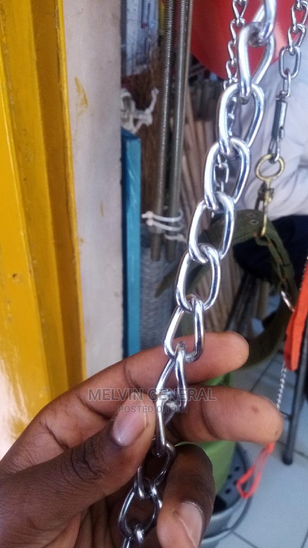 Big Dog Chain - main view