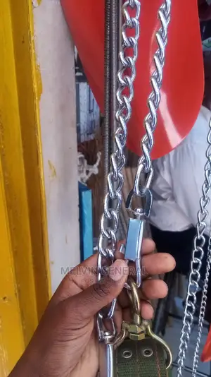 Medium Dog Chain