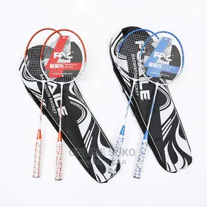 Portable Beginner Outdoor Indoor Sports Badminton Racket Set