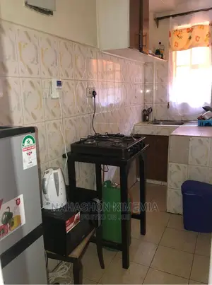 Premier One Bedroom Airbnb TRM Drive Roysambu Thika Road