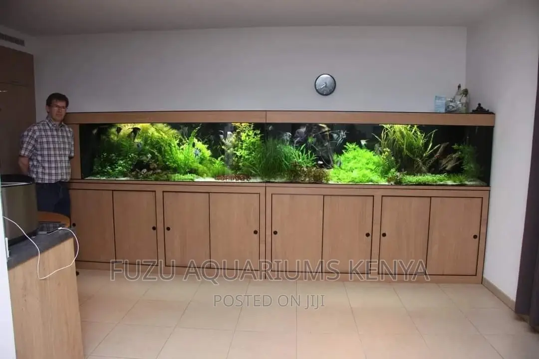 Lengthy Aquarium 10ft